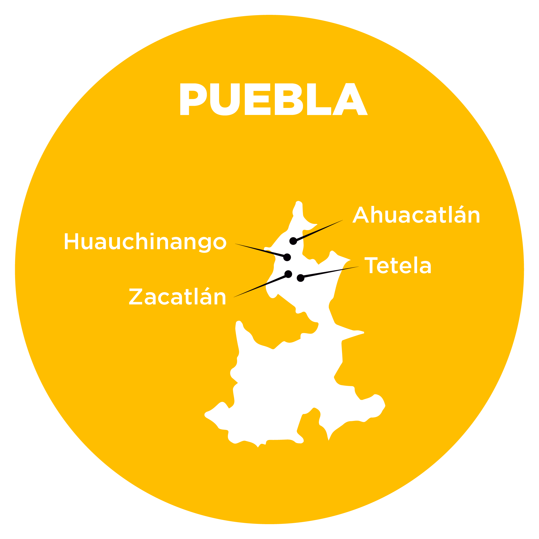 puebla mapa